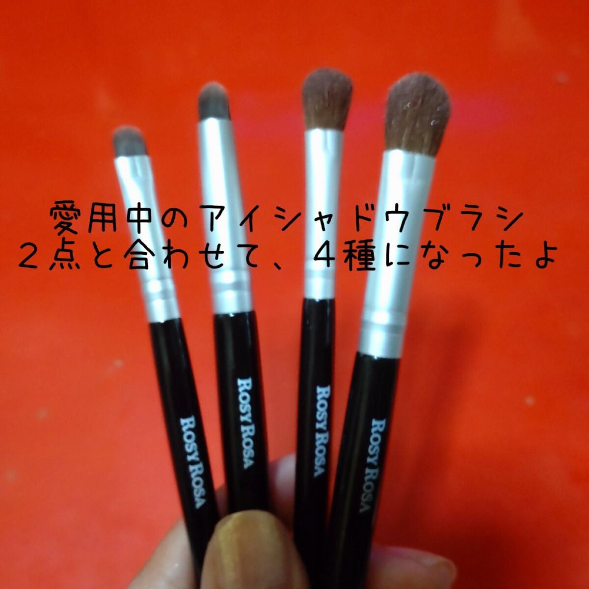 アイシャドウブラシセット/ロージーローザ/メイクブラシを使ったクチコミ(5枚目)