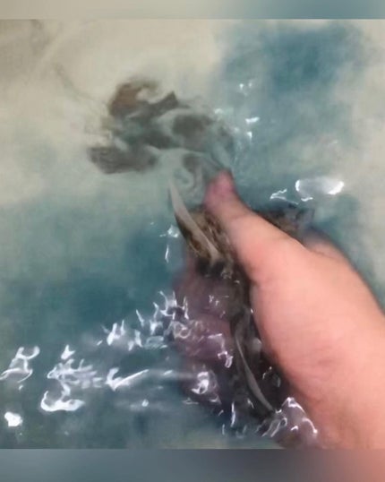 Hot Tune R(Release & Releave)/Hug & Treat/無機塩系入浴剤を使ったクチコミ(5枚目)