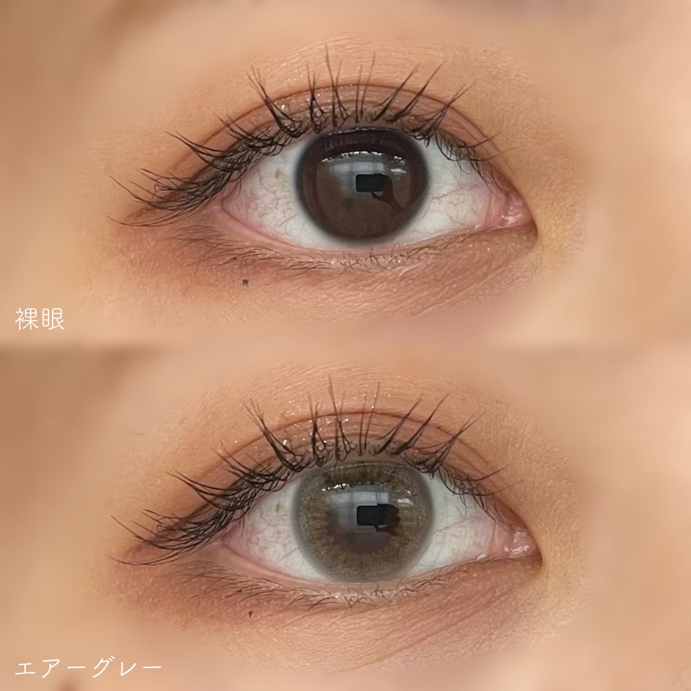 perse 1day/perse/ワンデー(1DAY)カラコンを使ったクチコミ(2枚目)