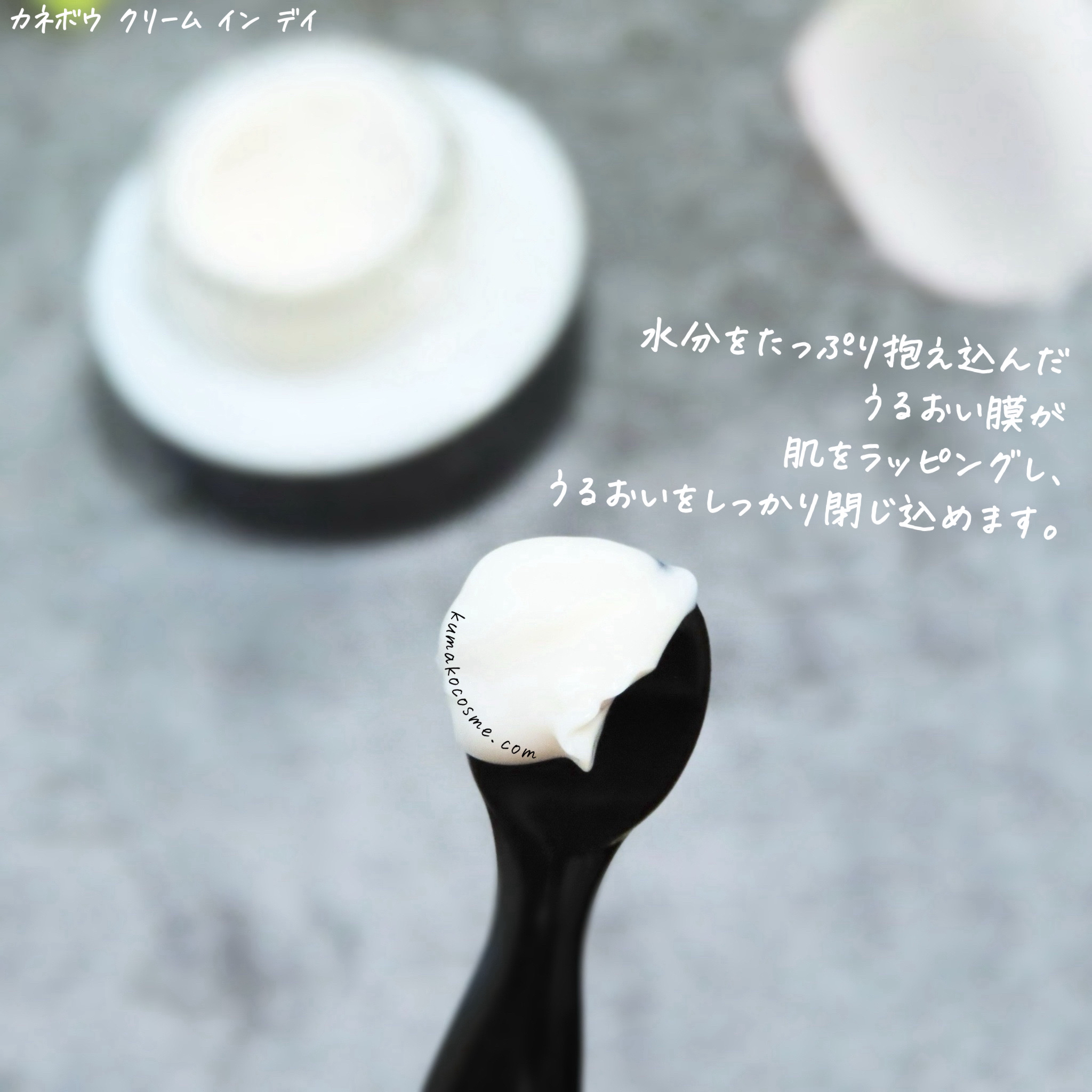 クリーム　イン　デイ/KANEBO/フェイスクリームを使ったクチコミ（3枚目）