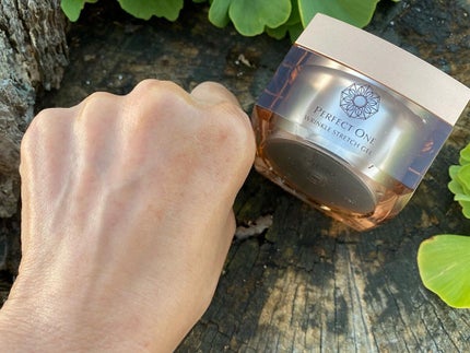 パーフェクトワン 薬用リンクルストレッチジェル/パーフェクトワン/オールインワン化粧品を使ったクチコミ(6枚目)