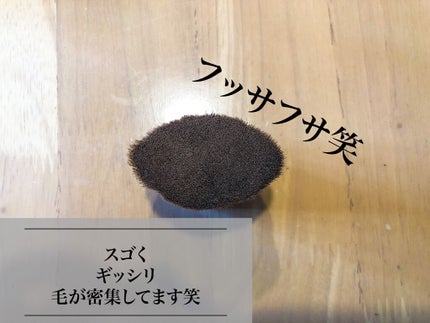 ペタル 55 ファンデーション ブラシ/shu uemura/メイクブラシを使ったクチコミ(5枚目)