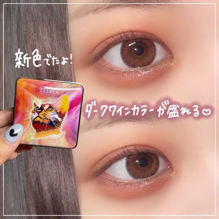 アニマルアイシャドウ(4シェード)/ZEESEA/アイシャドウパレットを使ったクチコミ(1枚目)