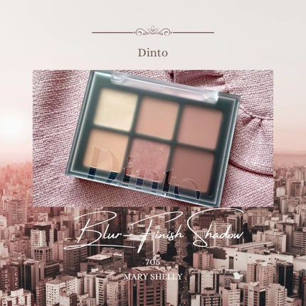 ブラーフィニシュシャドウパレット/Dinto/アイシャドウパレットを使ったクチコミ(1枚目)