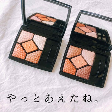 サンク クルール<ワイルド アース＞ 696 シエナ/Dior/アイシャドウパレットを使ったクチコミ（1枚目）