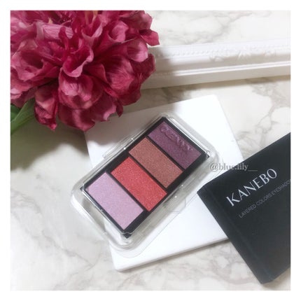 レイヤードカラーズアイシャドウ/KANEBO/アイシャドウパレットを使ったクチコミ(6枚目)