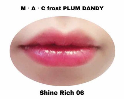 オールインワンティント/シャインリッチ/リップティントを使ったクチコミ(1枚目)