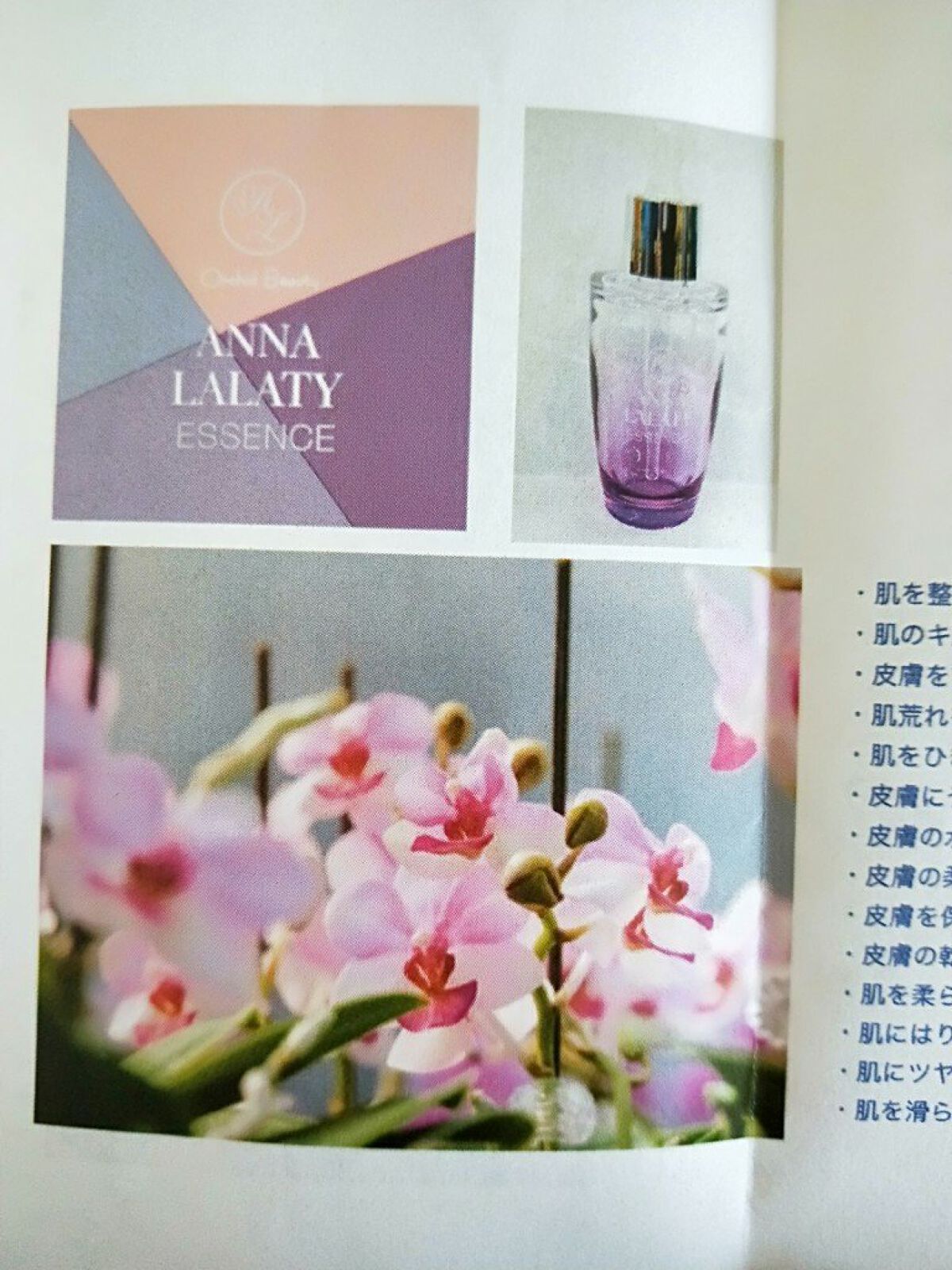 アンナララティ美容液/椎名洋ラン園/美容液を使ったクチコミ(4枚目)