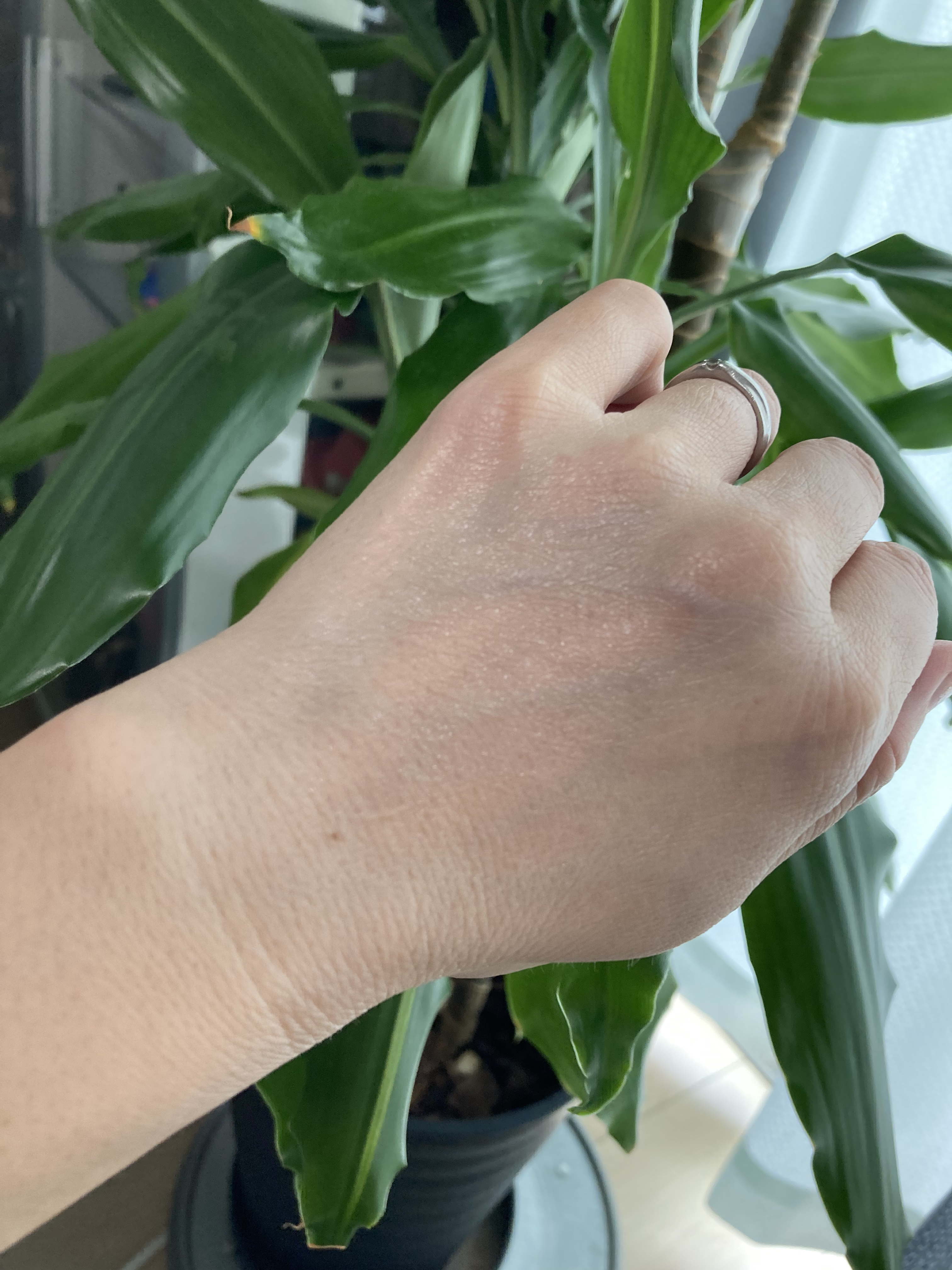 ルミネールスキップトーンアップクリーム/TFIT/化粧下地を使ったクチコミ（3枚目）