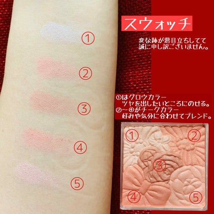 グロウフルールチークス/キャンメイク/パウダーチークを使ったクチコミ(2枚目)