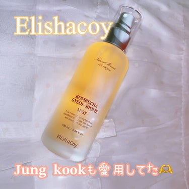 コンブチャ ギョルバイオムミスト/Elishacoy/ミスト状化粧水を使ったクチコミ（1枚目）