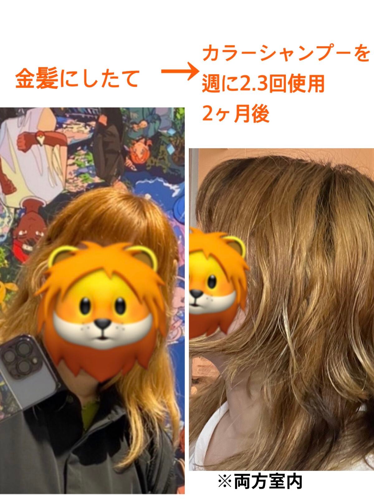 ガオガオレオ on LIPS 「とにかくライオンみたいなヘアーにしたいなぁって思ってセルフでし..」(2枚目)