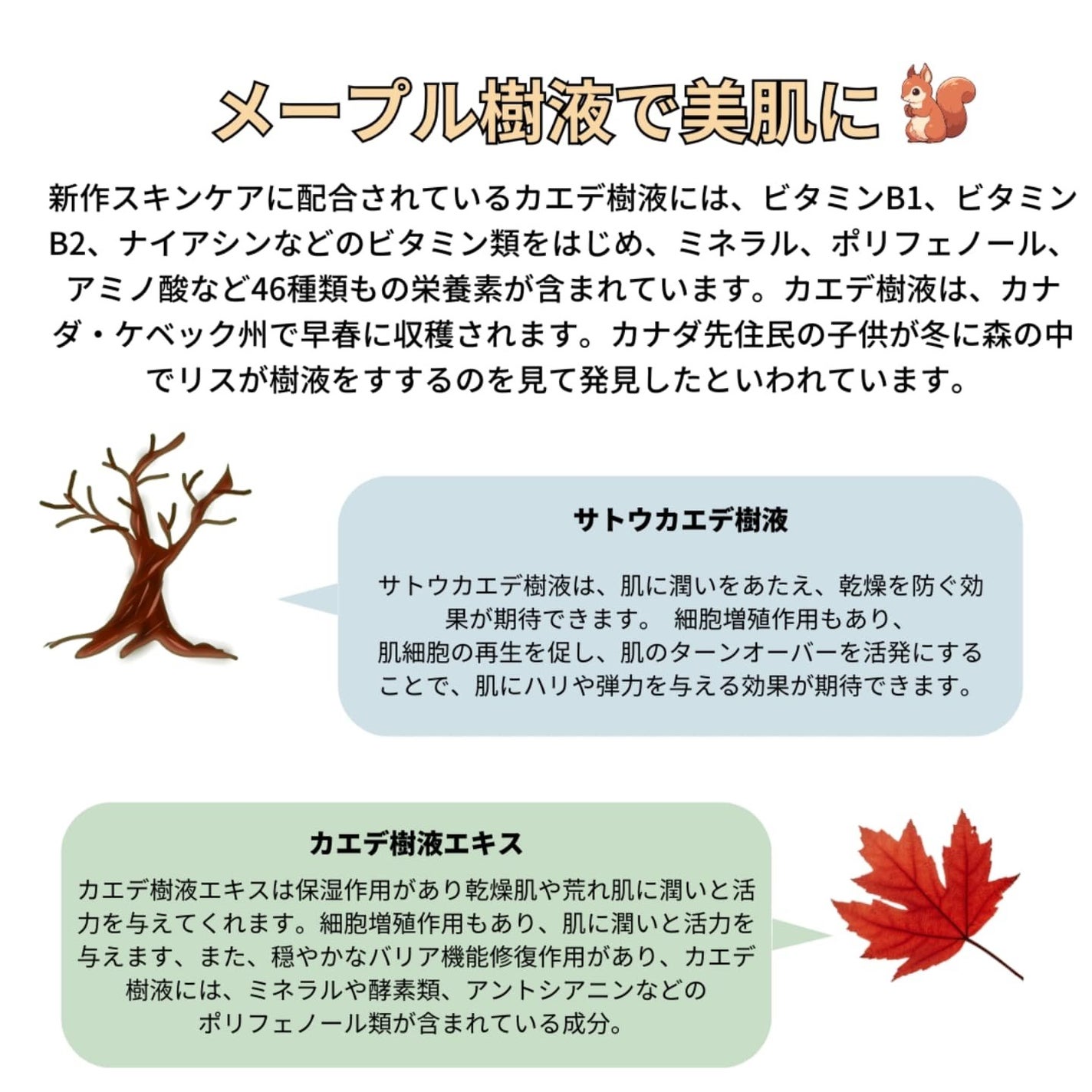 ナオホリック on LIPS 「メープル樹液で肌のボリュームアップ!満たして持ち上げ、輝かせる..」(4枚目)