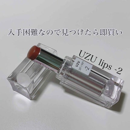 38°C / 99°F Lipstick <TOKYO>/UZU BY FLOWFUSHI/口紅を使ったクチコミ(1枚目)