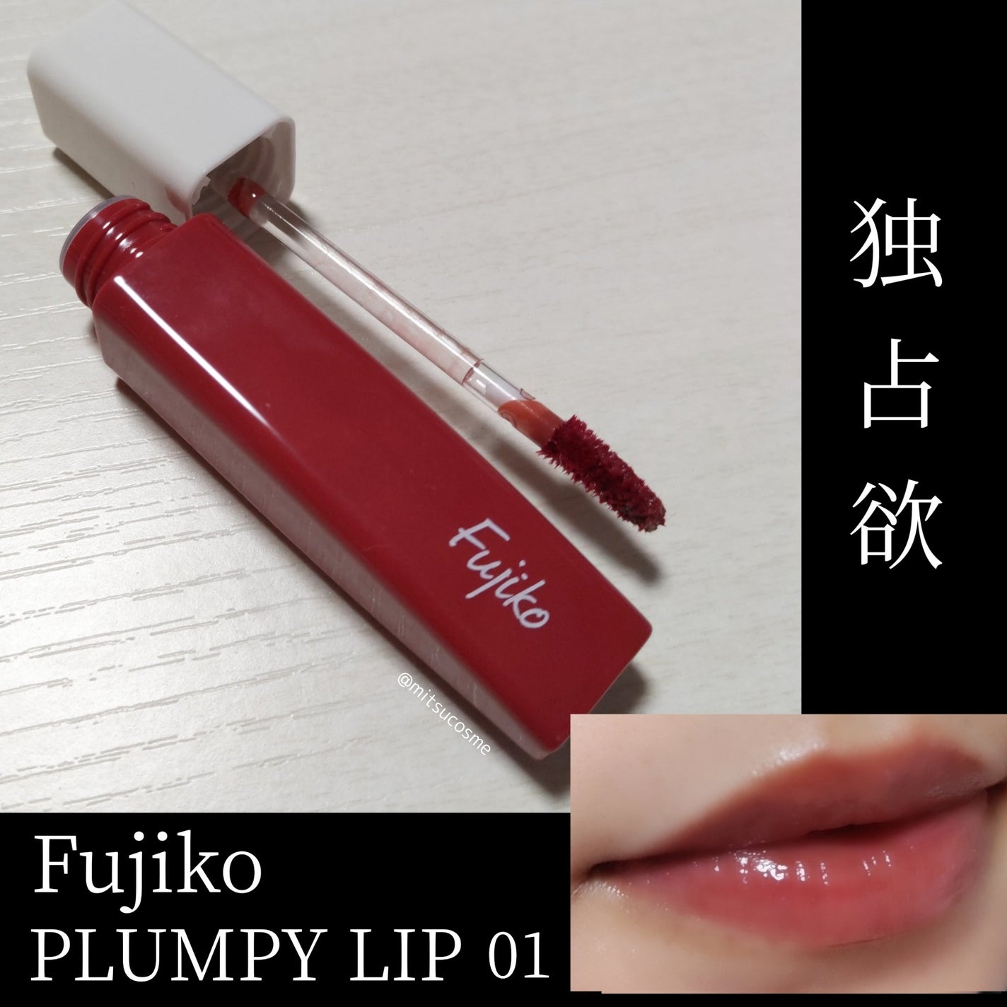 プランピーリップ/Fujiko/リップグロスを使ったクチコミ(1枚目)