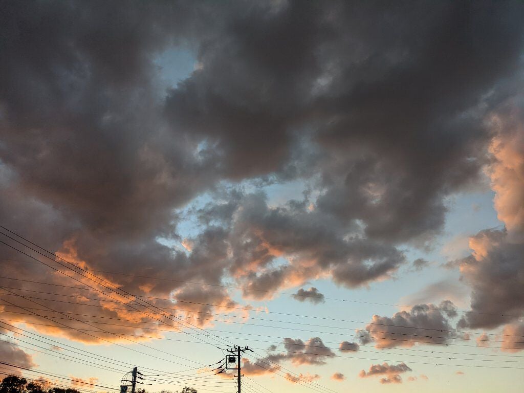 パル カラージェル/キャンドゥ/ジェルネイルを使ったクチコミ(2枚目)