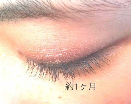 EMAKED(エマーキット)/水橋保寿堂製薬/まつげ美容液を使ったクチコミ(1枚目)