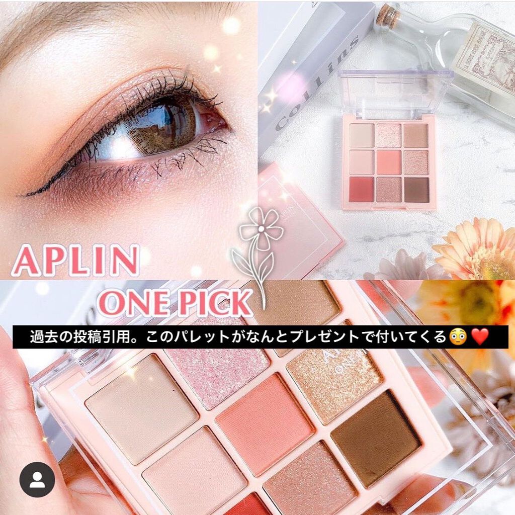ワンピックアイシャドウパレット/APLIN/アイシャドウパレットを使ったクチコミ(10枚目)