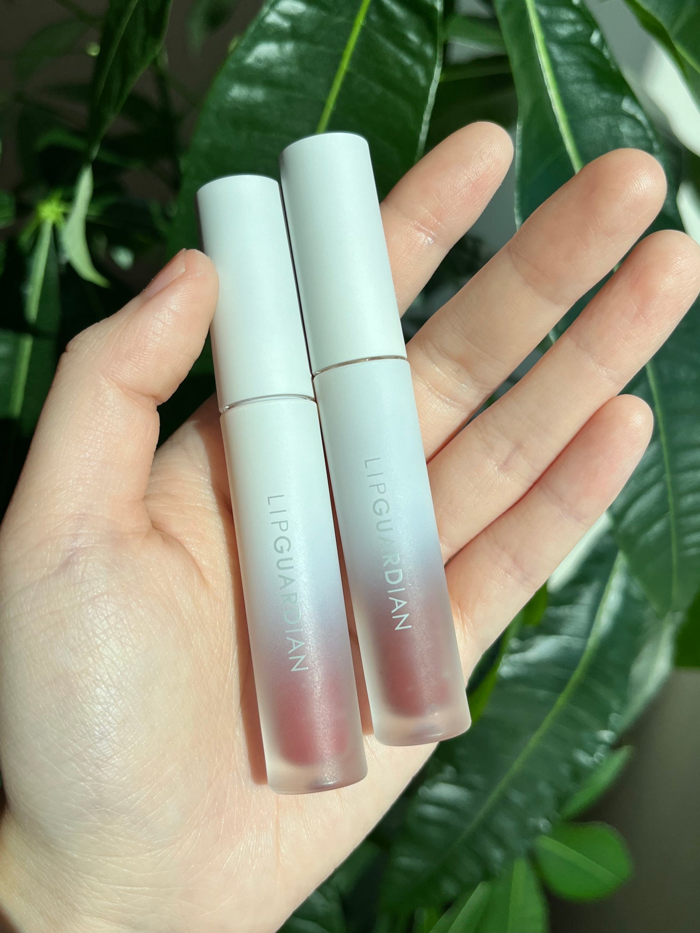 マットヴェールティント/LIPGUARDIAN/リップティントを使ったクチコミ(6枚目)