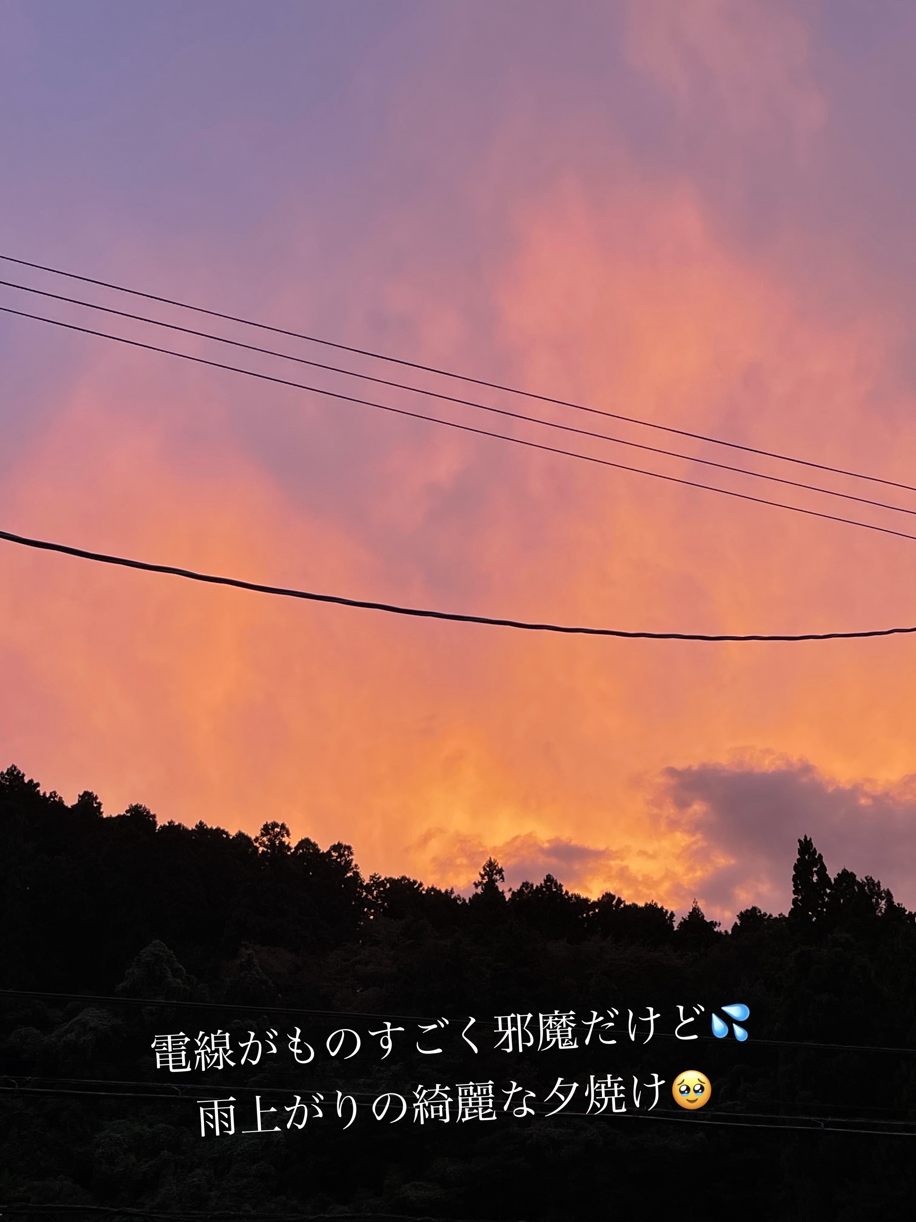 レ ベージュ パレット ルガール/CHANEL/アイシャドウパレットを使ったクチコミ（2枚目）