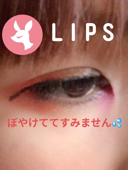 デュアルアイシャドウ N/excel/アイシャドウパレットを使ったクチコミ(2枚目)