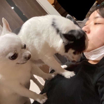 しに子ちゃん on LIPS 「コーヒーメーカー買ったった。全自動!マグニフィカくん!タイマー..」(2枚目)