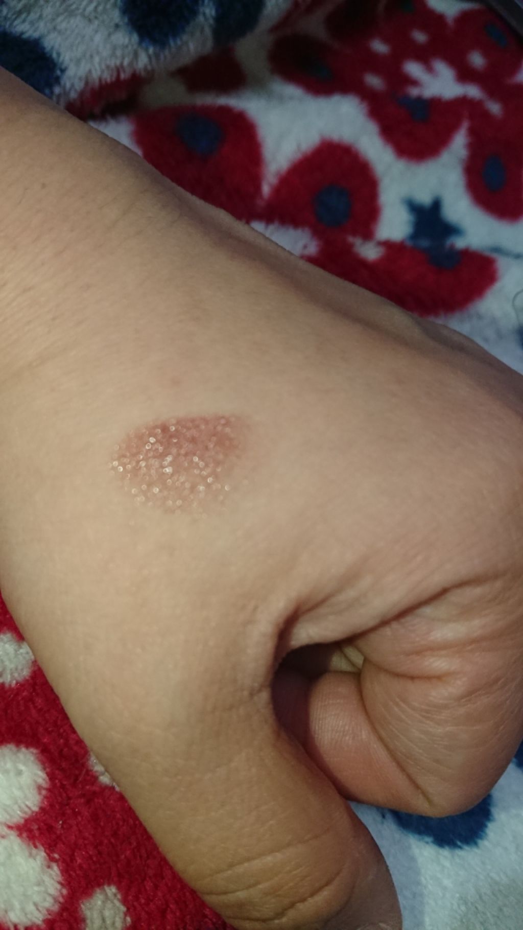 ラスティングフィニッシュ クリーミィ リップ/リンメル ロンドン/口紅を使ったクチコミ(3枚目)