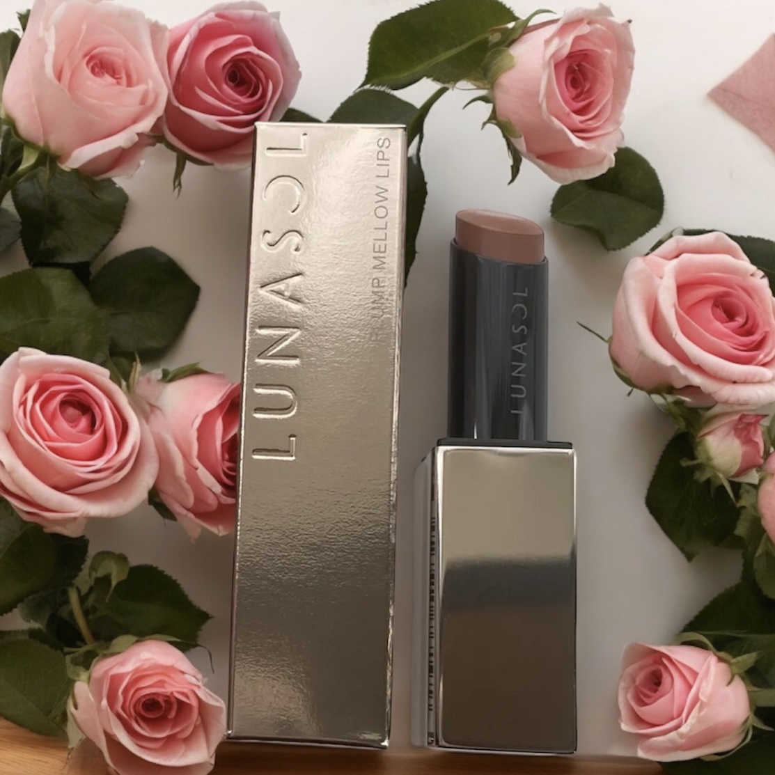 プランプメロウリップス EX20 Modern Tone/LUNASOL/口紅を使ったクチコミ（2枚目）