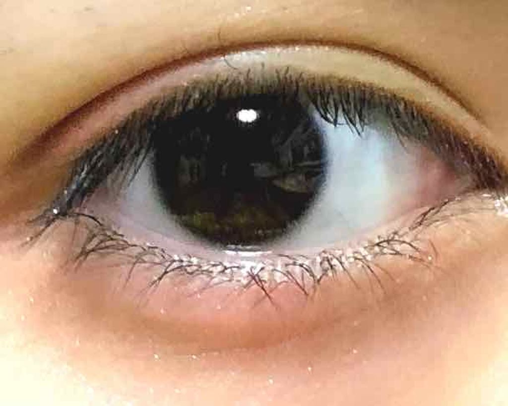 シャドーカスタマイズ/MAJOLICA MAJORCA/単色アイシャドウを使ったクチコミ（2枚目）