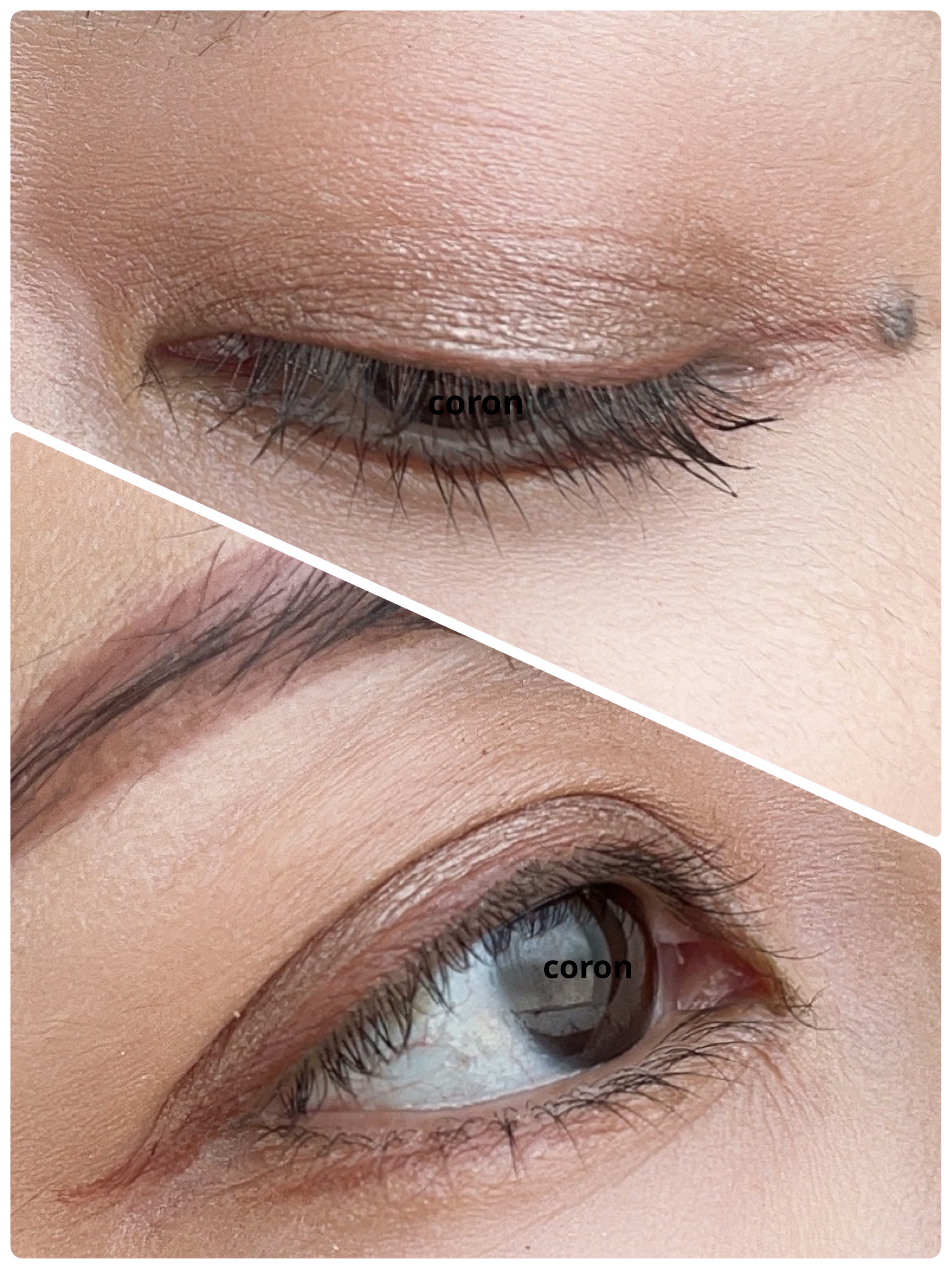 パーフェクトエクステンション マスカラ/D-UP/マスカラを使ったクチコミ（2枚目）