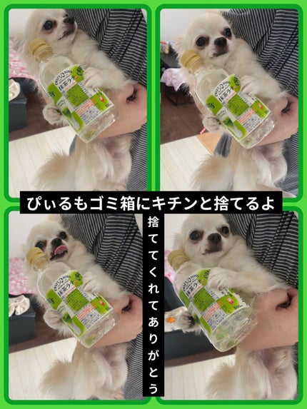 BBプロテクトUV/ナビジョンDR/BBクリームを使ったクチコミ(9枚目)