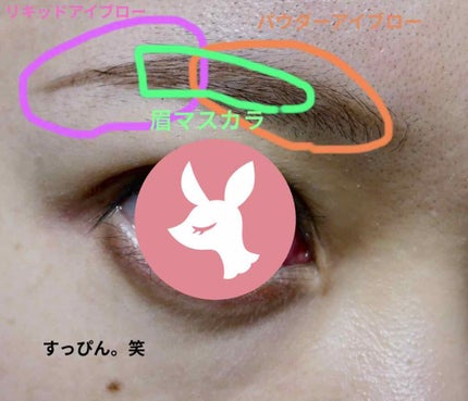 ビューティーガイドアイブロー N BR671/インテグレート/リキッドアイブロウを使ったクチコミ(3枚目)