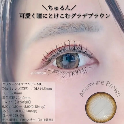 フラワーアイズ ワンデー/株式会社ビューフロンティア/ワンデー(1DAY)カラコンを使ったクチコミ(3枚目)