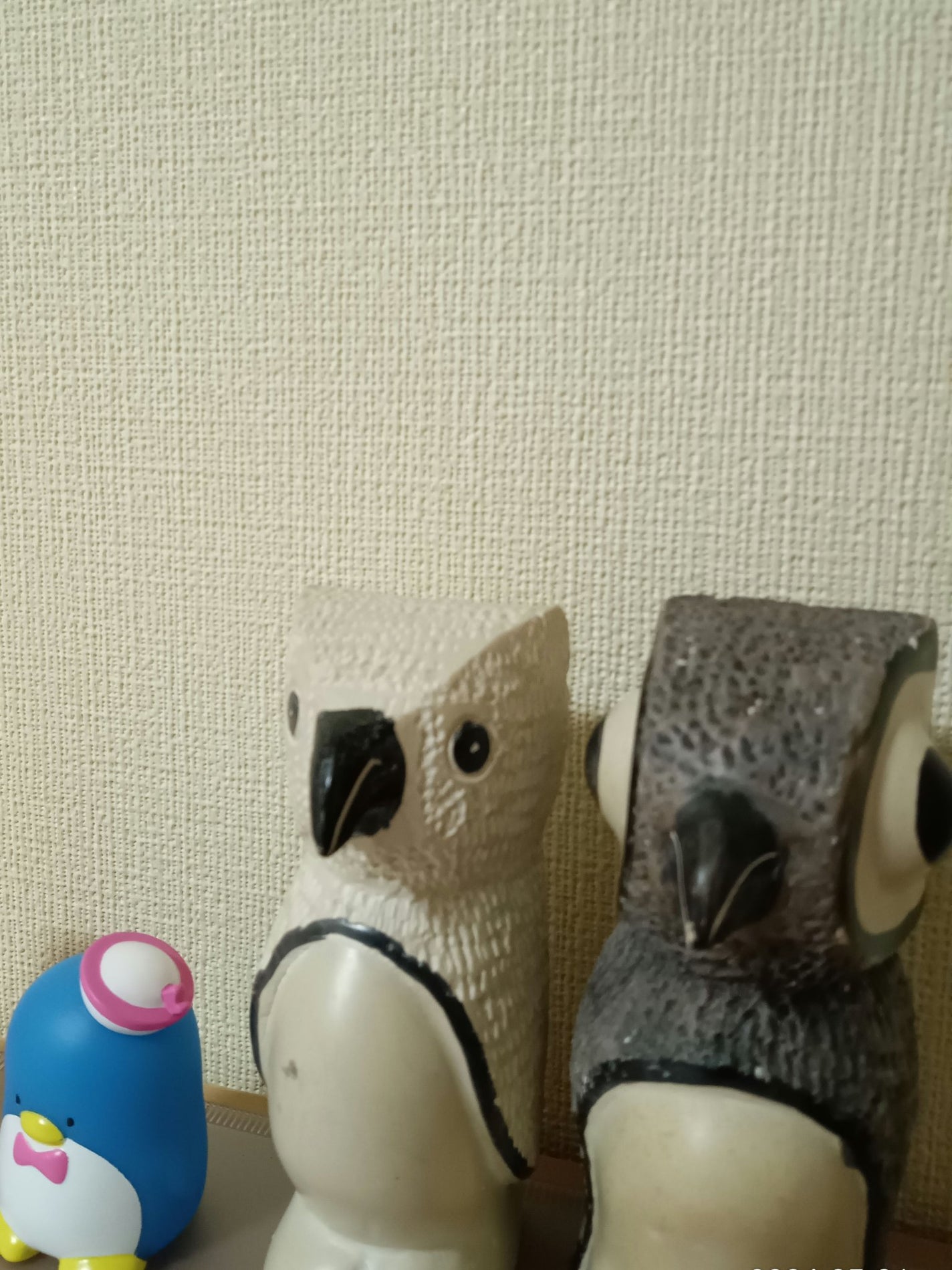 すてら on LIPS 「こんにちは〜すてらです!学年末テストに追われていてお久しぶりの..」(1枚目)