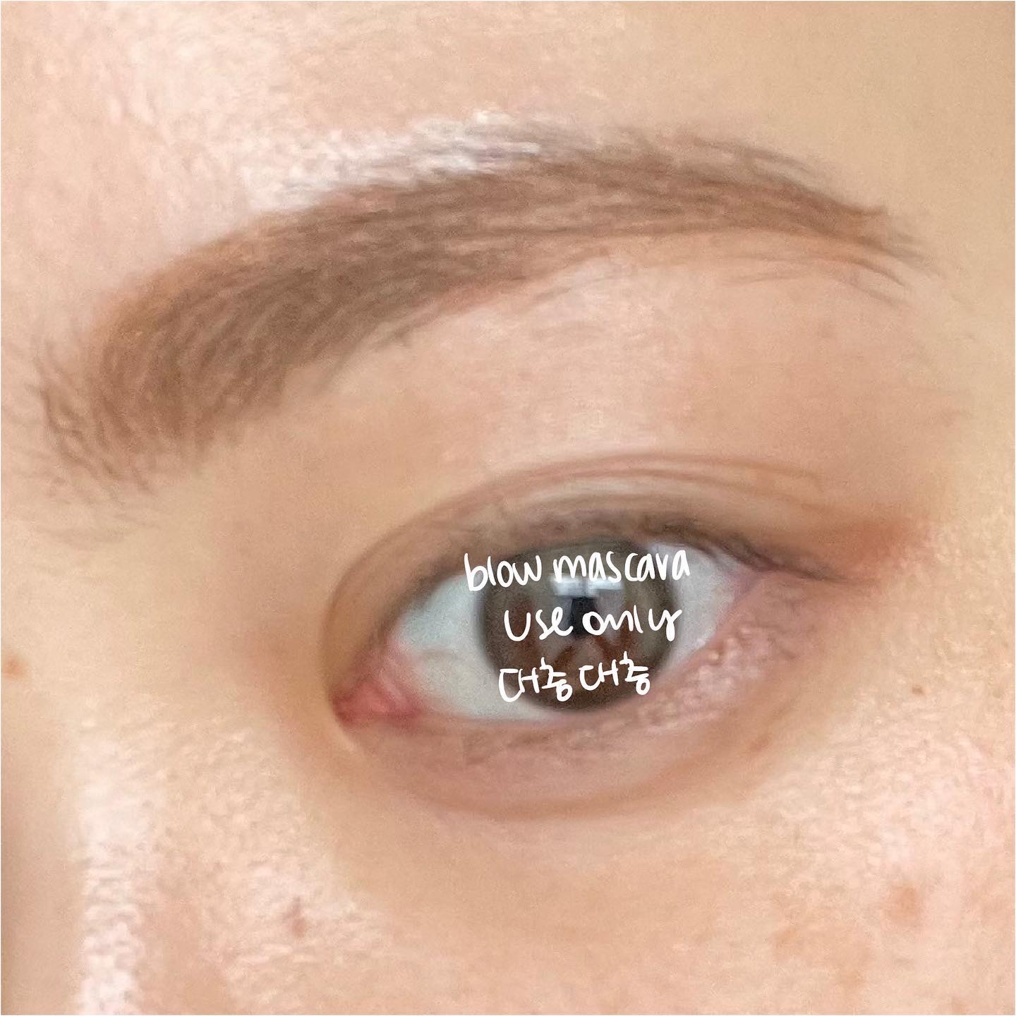 ハンオールブロウカラ/rom&nd/眉マスカラを使ったクチコミ（2枚目）