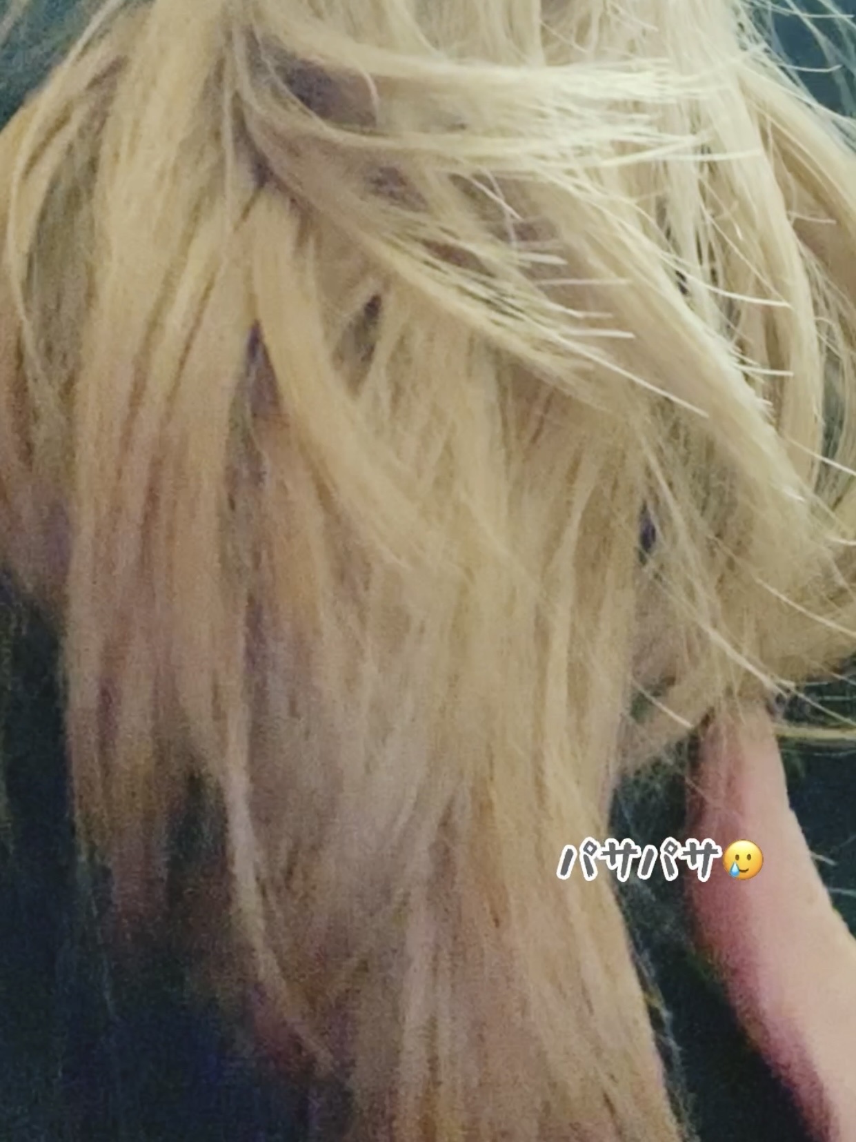 SILKY OIL SERUM/CULRY SHYLL/ヘアオイルを使ったクチコミ（3枚目）