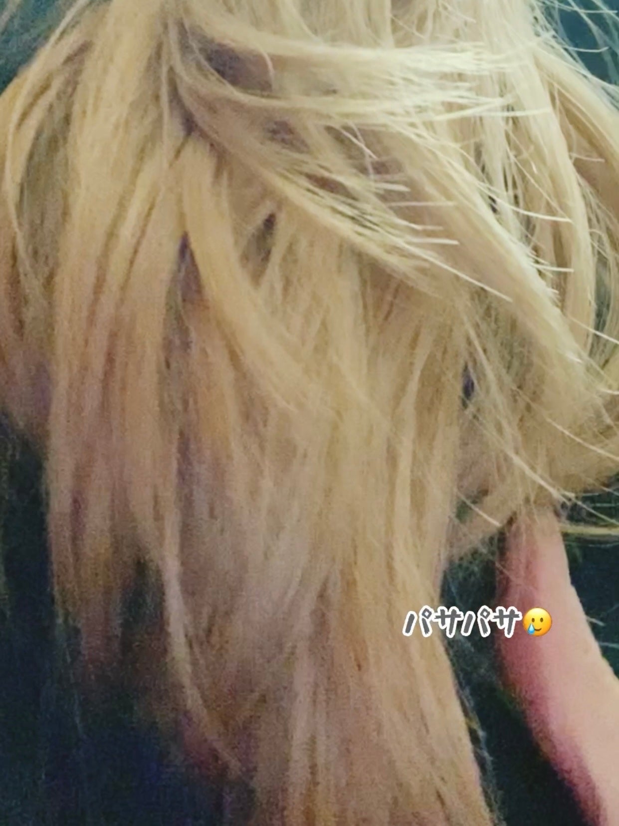 SILKY OIL SERUM/CULRY SHYLL/ヘアオイルを使ったクチコミ(3枚目)