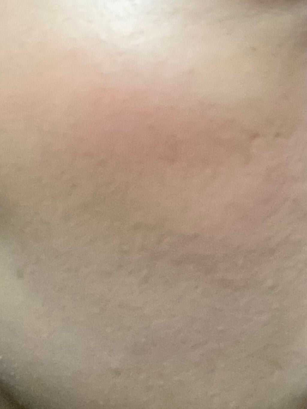 サーカスシリーズ グラデーションブラッシュ /FlowerKnows/パウダーチークを使ったクチコミ(6枚目)