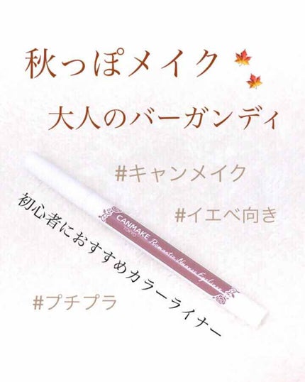 ロマンティックニュアンスアイライナー/キャンメイク/リキッドアイライナーを使ったクチコミ(1枚目)