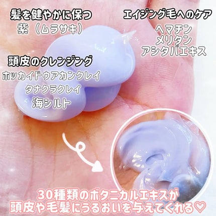 試してみた】LILAY +By lilay バイタルクリームシャンプーの 試してみた】LILAY +By lilay バイタルクリームシャンプーの