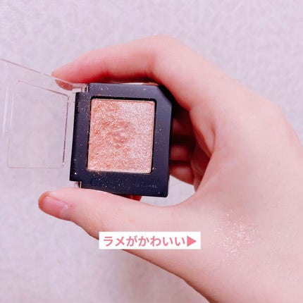 プロ シングル シャドウ/CLIO/単色アイシャドウを使ったクチコミ(1枚目)