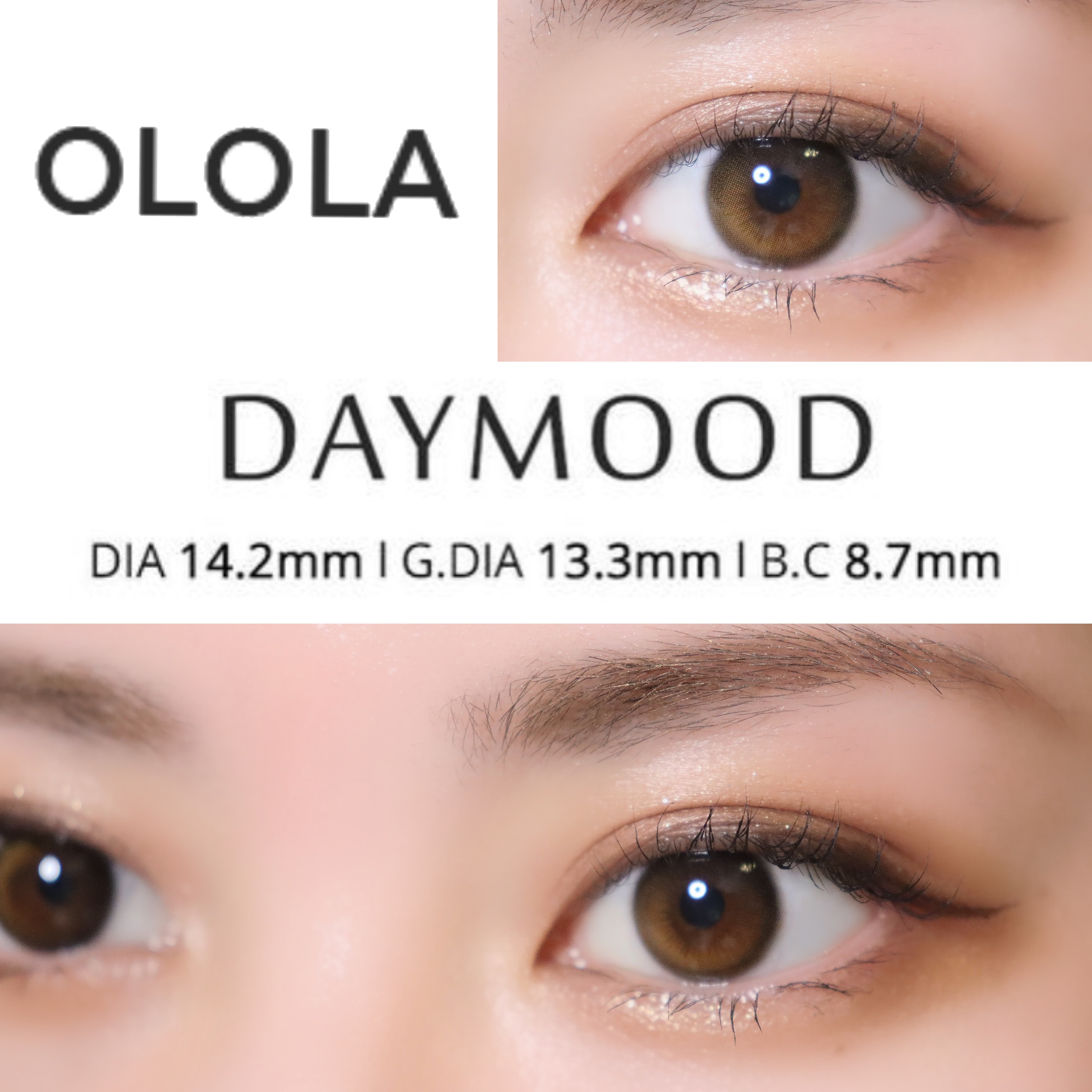 デームードブラウンマンスリー (DAYMOOD BROWN monthly)/OLOLA/１ヶ月（１MONTH）カラコンを使ったクチコミ（1枚目）