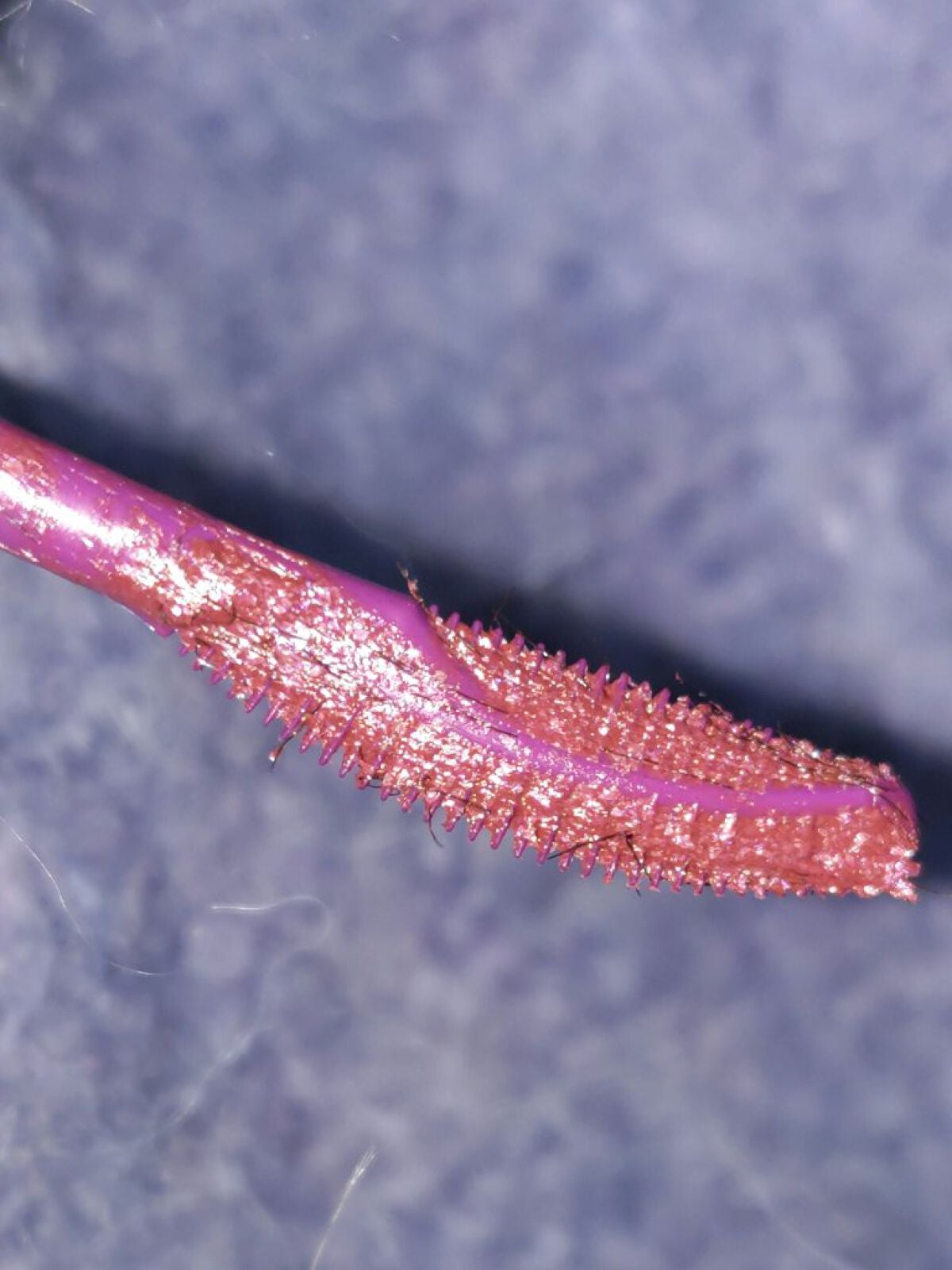 ラッシュエキスパンダー ロングロングロング/MAJOLICA MAJORCA/マスカラを使ったクチコミ(2枚目)