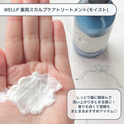 薬用スカルプケアシャンプー/トリートメント モイスト/WELLP/市販シャンプーを使ったクチコミ(4枚目)