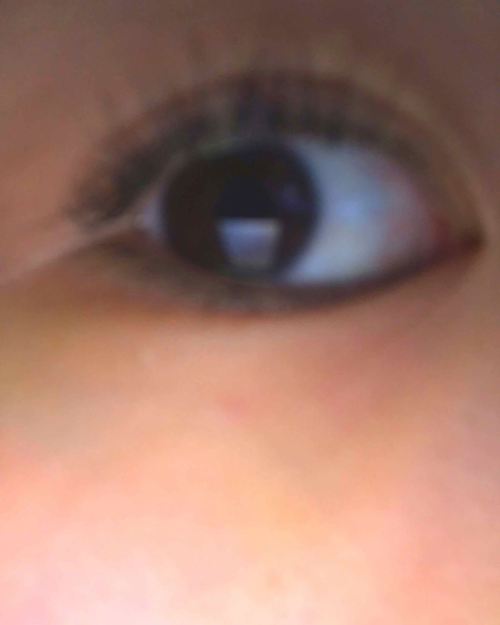 アイラッシュカーラー /SHISEIDO/ビューラーを使ったクチコミ(1枚目)