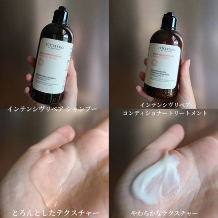 試してみた】インテンシヴリペア シャンプー/コンディショナー L 試してみた】インテンシヴリペア シャンプー/コンディショナー L