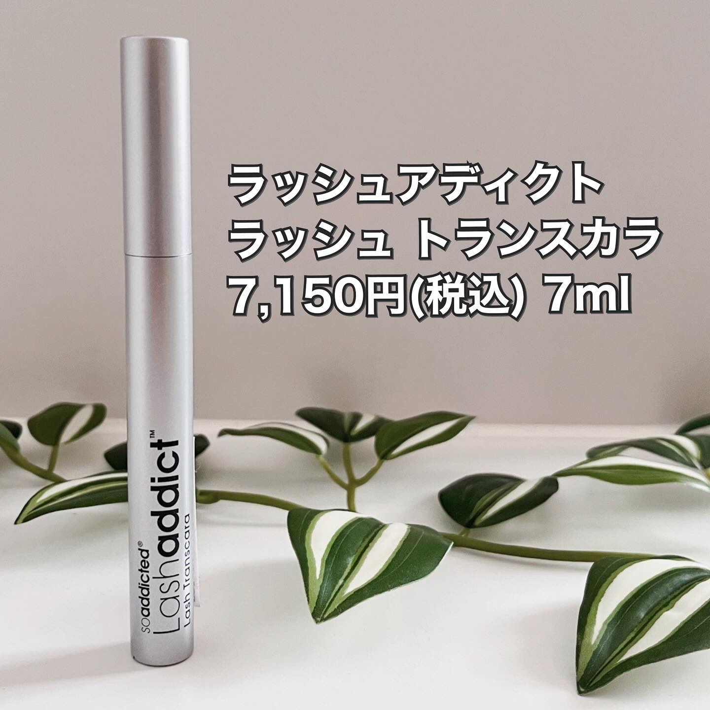 ラッシュアディクト ラッシュ トランスカラ/soaddicted/マスカラ下地を使ったクチコミ（2枚目）
