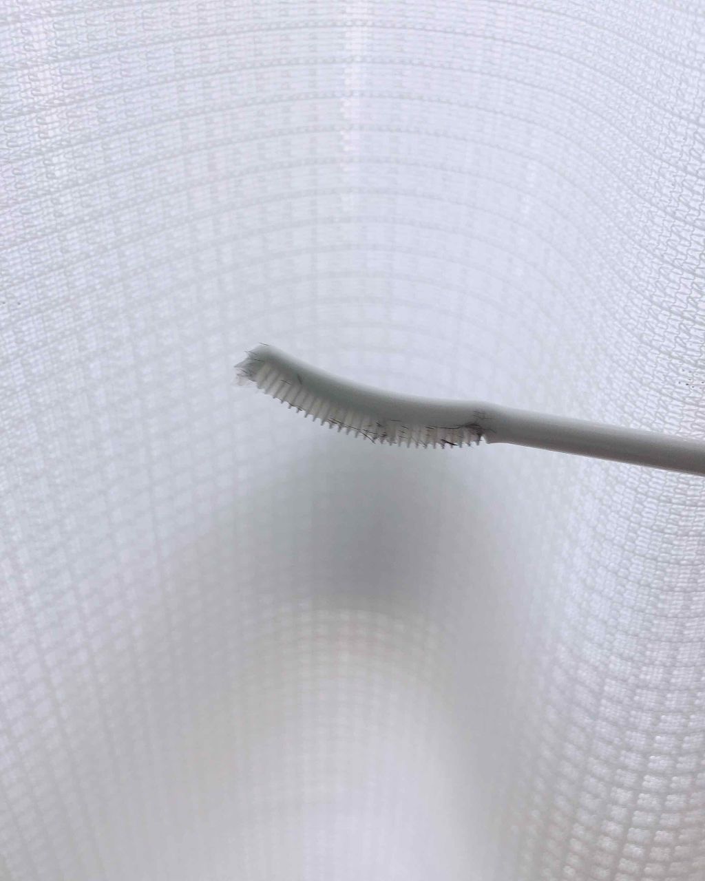 ラッシュボーン ブラックファイバーイン/MAJOLICA MAJORCA/マスカラ下地を使ったクチコミ（2枚目）