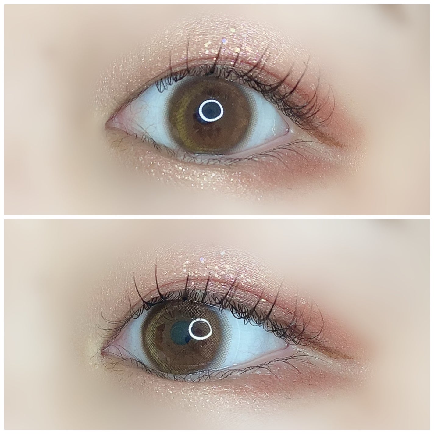 BELLSiQUE 1day/ベルシーク/ワンデー(1DAY)カラコンを使ったクチコミ(4枚目)