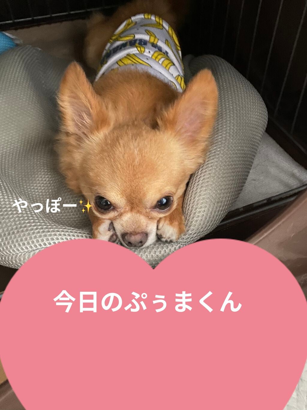 エテュセ リップエディション(プランパー)リッチスタイル/ヘルシースタイル/ettusais/リップケアを使ったクチコミ(4枚目)